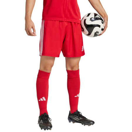 Spodenki adidas Tastigo 25 M JN7157 (1455443)