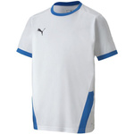 Koszulka Puma teamGOAL 23 Jersey Jr 704160 12 (70416012)
