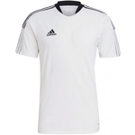 Koszulka adidas Tiro 21 Training Jersey M (GM7590)