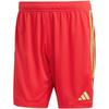 Spodenki adidas Tiro 23 League M (IB8090)