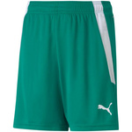 Spodenki Puma teamLIGA Shorts Jr 704931 05 (70493105)