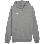 Bluza Puma Team Goal Casuals Hoody M 658618 33 (65861833)