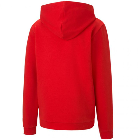 Bluza Puma teamGOAL 23 Casuals Hoody Jr 656711 01 (65671101)