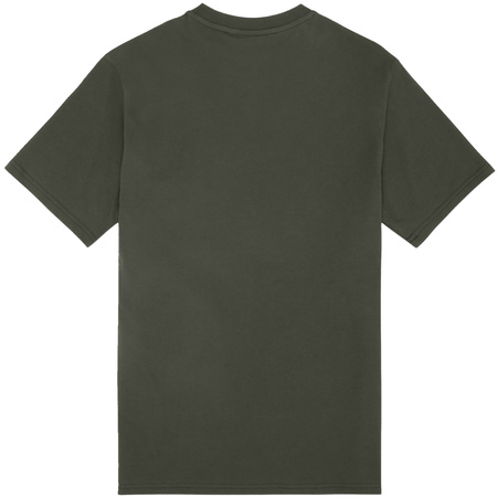 Koszulka męska Fila Laas Regular Tee khaki (FAM0874 60081)