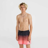 Szorty kąpielowe O'Neill Jack Cali Gradient 15'' Swim Shorts M (92800613579)