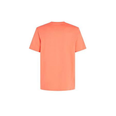 Koszulka O'Neill Jack Neon T-Shirt M (92800613602)