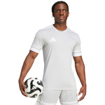 Koszulka męska adidas Squadra 25 szara (JG5837)
