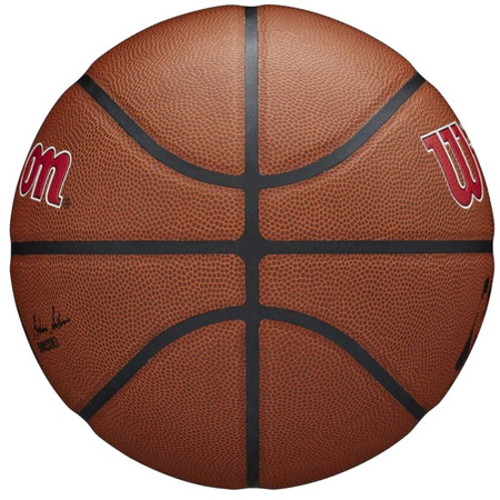 Piłka Wilson Team Alliance Toronto Raptors Ball (WTB3100XBTOR)