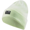 Czapka Puma Archive heather beanie 21739 21 (2173921)