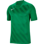 Koszulka sportowa dziecięca Nike Dri Fit Challenge 3 Y Jr treningowa zielona (BV6738-302)