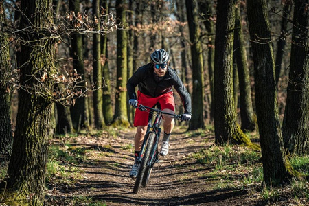 Kurtka rowerowa męska Silvini Men Jacket Vetta MJ1612 trekkingowa przeciwdeszczowa (3120-MJ1612/0811)