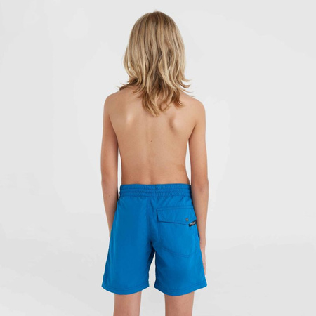 Szorty kąpielowe O'Neill Vert 14" Swim Shorts Jr (92800614215)