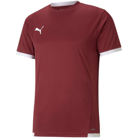 Koszulka Puma teamLIGA Jersey M 704917 09 (70491709)
