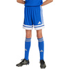 Spodenki dla dzieci adidas Squadra 25 niebieskie (JJ2419)