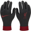 Rękawiczki Nike Liverpool FC Thermafit HO23 Jr (FQ4600-010)