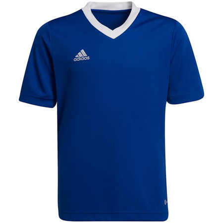 Koszulka adidas Entrada 22 Jsy Jr (HG3948)