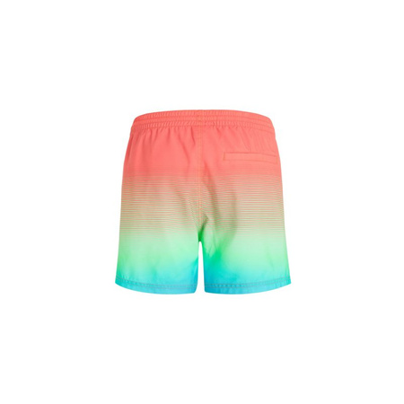 Szorty kąpielowe O'Neill Jack Cali Gradient 15'' Swim Shorts M (92800613575)