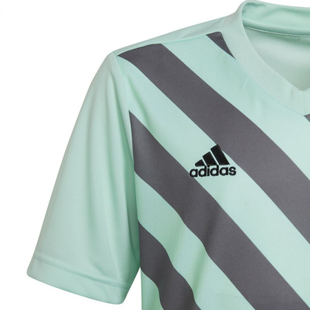 Koszulka adidas Entrada 22 Graphic Jersey Jr (HF0127)