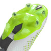 Buty piłkarskie adidas Predator Accuracy.1 L FG M  (GZ0032)