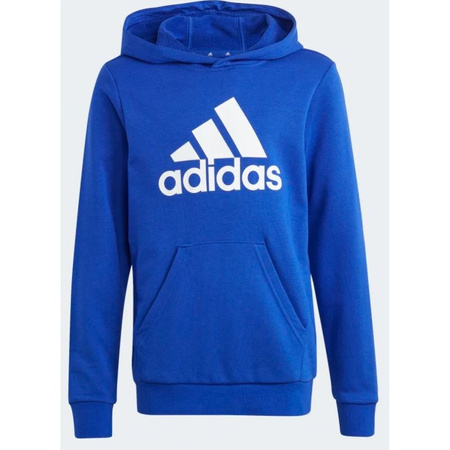 Bluza adidas Big Logo Essentials Hoodie Jr (IC6834)