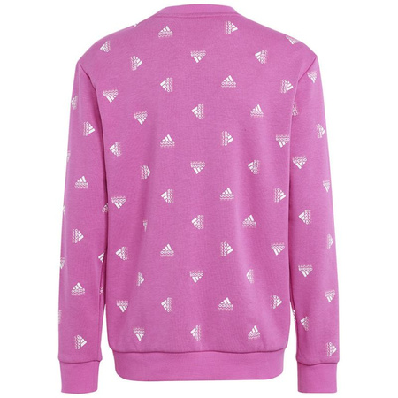 Bluza adidas Bluv Swt Jr (IC5573)