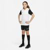 Koszulka Nike Dri-Fit Tiempo Premier 2 Jr (DH8389-100)