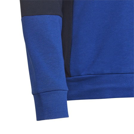 Bluza adidas Colourblock Hoodie Jr (HG6826)