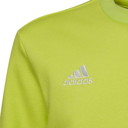 Bluza adidas Entrada 22 Sweat Top Jr (HC5043)