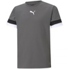 Koszulka Puma teamRise Jersey Jr 704938 13 (70493813)