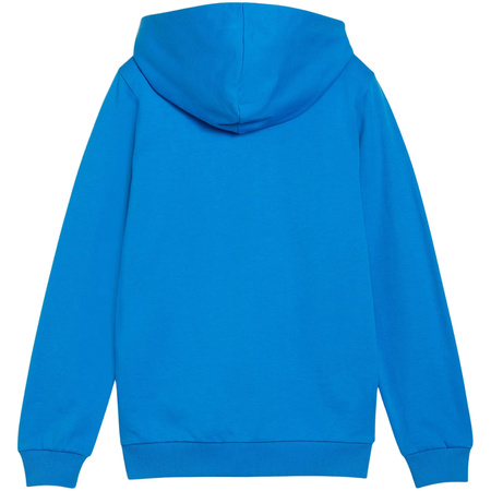 Bluza dla dzieci Puma teamGoal Casuals Hooded niebieska (658596 02)