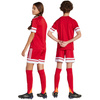 Spodenki dla dzieci adidas Squadra 25 czerwone (JJ2416)