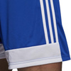 Spodenki adidas Tastigo 19 Shorts M (DP3682)