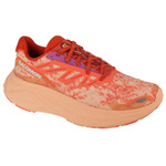 Buty do biegania Salomon Aero Glide 2 W  (474266)