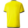 Koszulka Puma teamLIGA Jersey M 704917 07 (70491707)