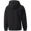 Bluza Puma Alpha Hoodie FL Jr 589232 01 (58923201)