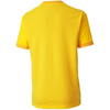 Koszulka Puma teamGOAL 23 Jersey Jr 704160 07 (70416007)