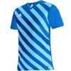 Koszulka adidas Entrada 22 Graphic Jersey Jr (HF0130)