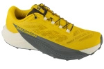 Salomon Pulsar (L47973200)
