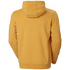 Bluza Helly Hansen Logo Hoodie M (33977-364)