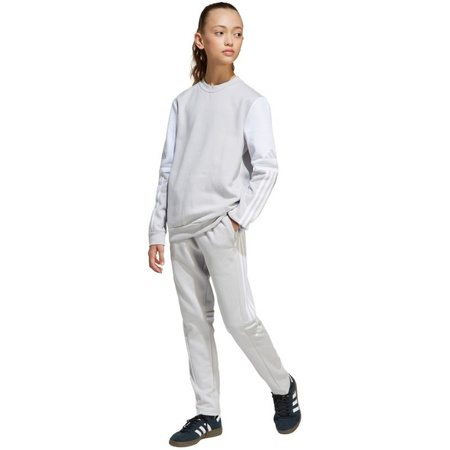 Bluza adidas Squadra 25 Sweat Crew Jr JD4824 (JD4824)