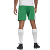 Spodenki adidas Squadra 21 Short M (GN5769)