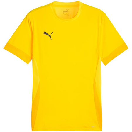 Koszulka Puma teamGoal Matchday Jersey M 705747 07 (70574707)