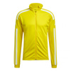 Bluza adidas Squadra 21 Training M (GP6465)