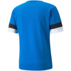 Koszulka Puma teamRise Jersey M 704932 02 (70493202)