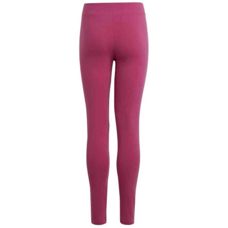 Legginsy adidas Essentials Linear Logo Cotton Tights Jr (IC3581)