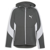 Bluza męskie Puma EVOSTRIPE FULL-ZIP HOODIE Szary (67899580)