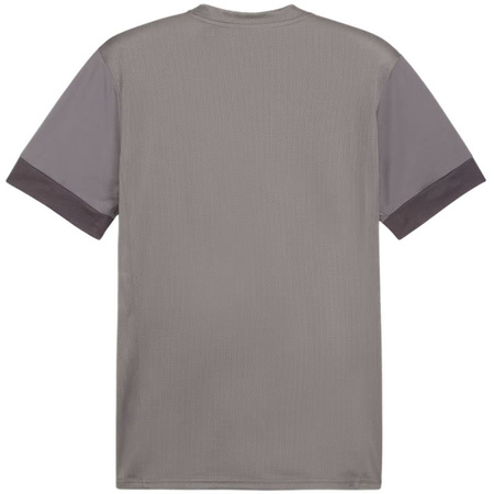 Koszulka Puma teamGoal Matchday Jersey M 705747 13 (70574713)