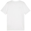 Koszulka męska Puma Team Goal Casuals Tee biała (658615 04)