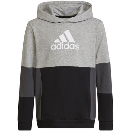 Bluza adidas Colourblock Hoodie Jr (HN8563)