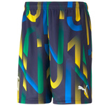 Spodenki Puma Neymar Jr Future Printed Short M (605552-06)